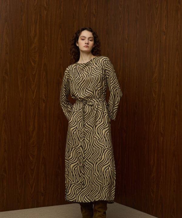 Alternative view of Dizzy Dress