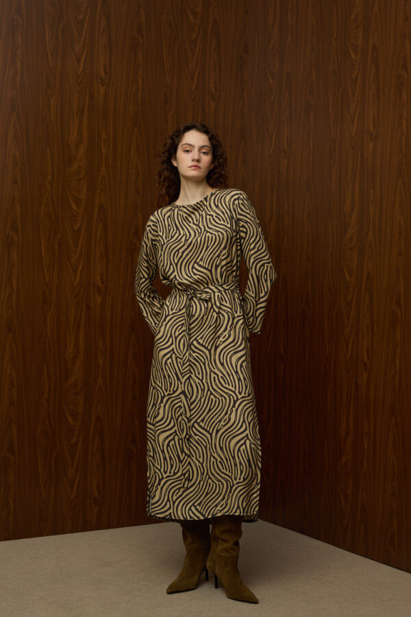 Alternative view of Dizzy Dress