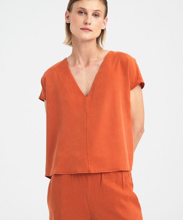 Alternative view of Open-Back Flow Top