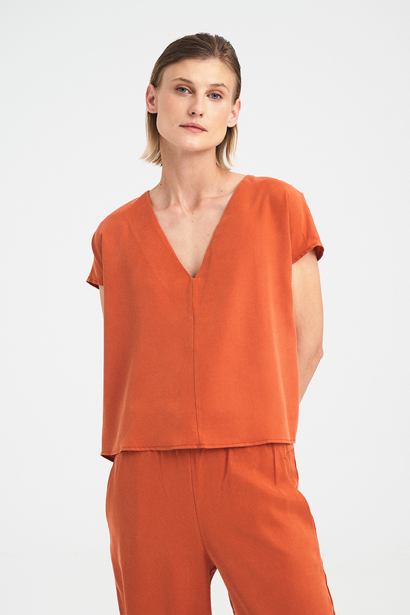 Alternative view of Open-Back Flow Top